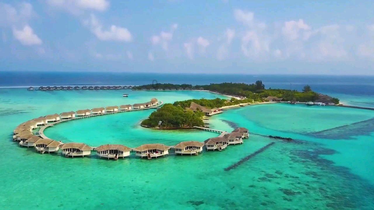 引球进框选关版